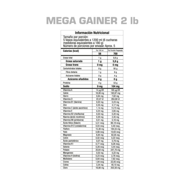 MEGA GAINER PROTEINA - Image 3