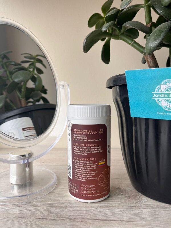 BETAGLUCANOS DE GANODERMA 60 gr - Image 3