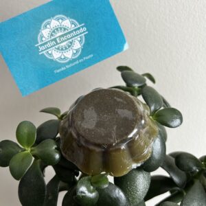 Jabón orgánico centella asiática