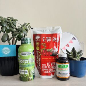 KIT PESO BALANCEADO