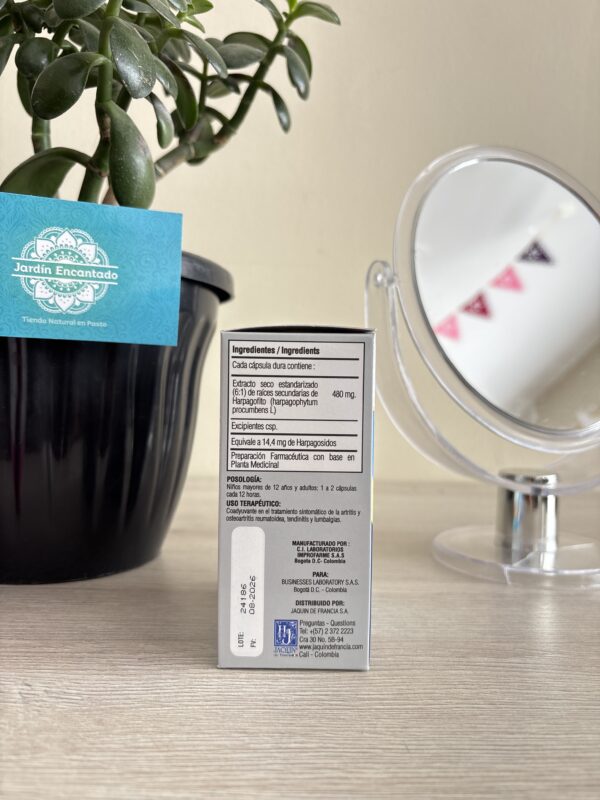 ARTHRO PATIQUE 30 Cap - Image 3