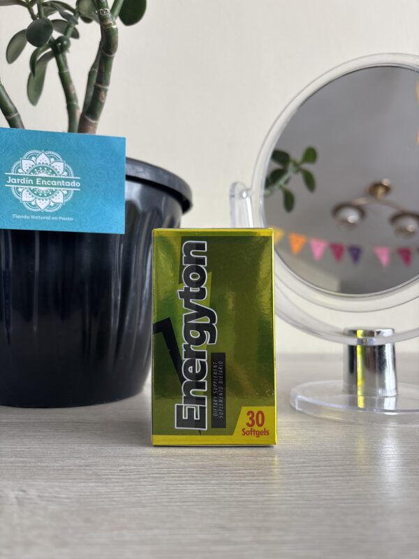 ENERGYTON HEALTHY AMÉRICA