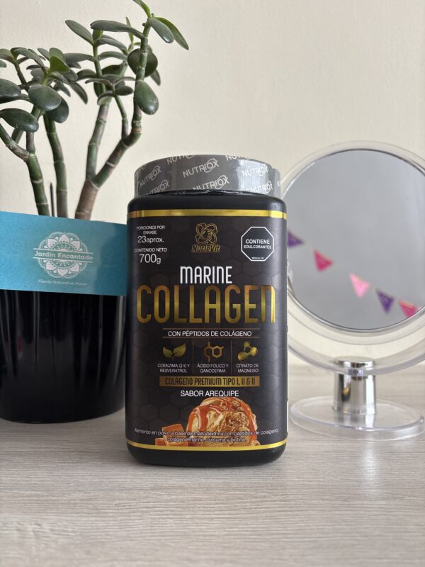 COLAGENO MARINO PREMIUM 700Gr Nuclevit
