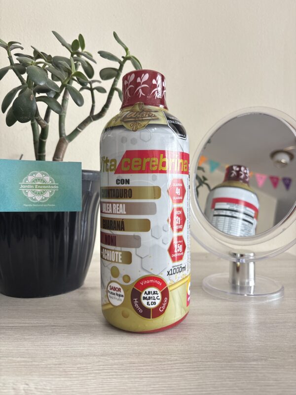 VITACEREBRINA 1.000 ml