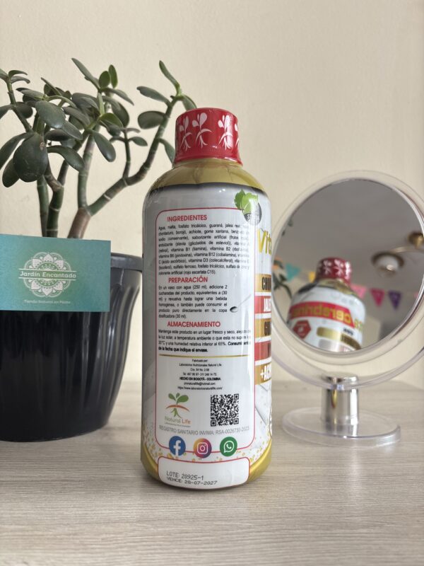 VITACEREBRINA 1.000 ml - Image 2