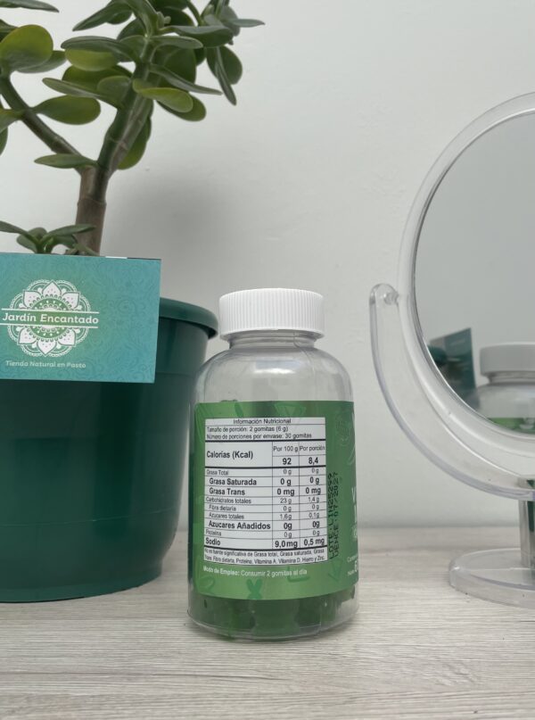 GOMAS DE VINAGRE DE MANZANA CON ALCACHOFA Y CAFEINA X 6O HEALGUM - Image 2